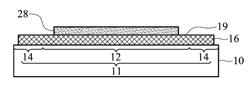 Method for isolating flexible film from support substrate