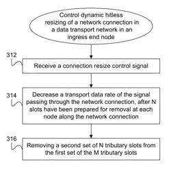 Dynamic hitless resizing in optical transport networks