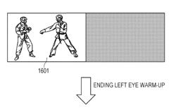 IMAGE DISPLAY DEVICE AND IMAGE DISPLAY METHOD