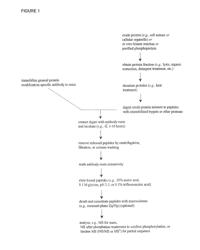 Tyrosine, Serine and Threonine Phosphorylation Sites