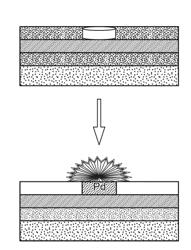 Nanostructured microelectrodes and biosensing devices incorporating the same