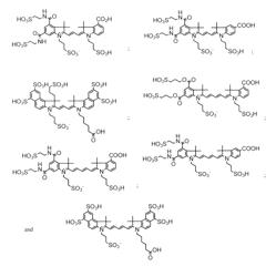 Cyanine dyes