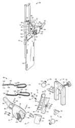 Surgical head support apparatus