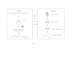 Method for modifying insect resistance of plants by utilizing RNAi technique