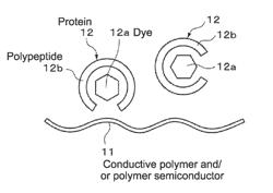 Photoelectric conversion element, production method for a photoelectric conversion element, solid-state image sensor, production method for a solid-state image sensor, electronic apparatus, photoconductor, production method for a photoconductor and multilayer transparent photoelectric conversion element