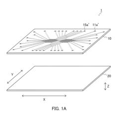 METHOD FOR INSPECTING SUSCEPTIBILITY OF BACTERIA OR FUNGI TO ANTIMICROBIAL DRUG AND SYSTEM FOR USE IN THE SAME