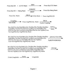 METHOD FOR SOLID PHASE SYNTHESIS OF LIRAGLUTIDE