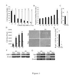 Method for expanding mesenchymal stem cells in low-density and hypoxic culture