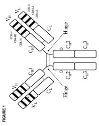 Pharmaceutical antibody compositions with resistance to soluble CEA