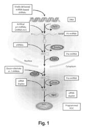 High throughput methods for functionally determining RNA interference efficiency