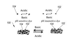 COATINGS FOR MEASURING PH CHANGES