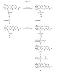 Prodrugs of 2,4-Pyrimidinediamine Compounds and Their Uses