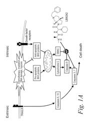 NOL3 IS A PREDICTOR OF PATIENT OUTCOME