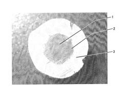 Process for producing SiC fiber-bonded ceramics