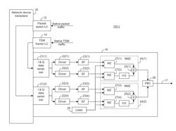 Multiprotocol transport using polarization division multiplexing