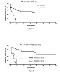 METHODS FOR PREDICTING THE SURVIVAL TIME OF A PATIENT SUFFERING FROM A SOLID CANCER BASED ON DENSITY OF B CELLS