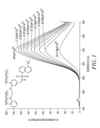 Fluorescent Metal Ion Indicators with Large Stokes Shifts