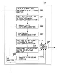 Optical structure observation apparatus and structure information processing method of the same