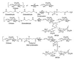 Preparation of chitosan-based microporous composite material and its applications