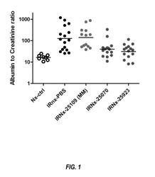 MicroRNA compounds and methods for modulating miR-21 activity