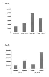 METHOD OF PREPARING MESENCHYMAL STEM CELL BASIC CULTURING MEDIUM, MAKING OF CELLULAR THERAPY PRODUCT WITH MESENCHYMAL STEM CELL BASIC CULTURING MEDIUM, AND THE DIFFERENTIATED ONE BY USING THE MEDIUM