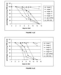 DSRNA AS INSECT CONTROL AGENT