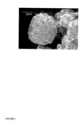 STABLE METAL ION-LIPID POWDERED PHARMACEUTICAL COMPOSITIONS FOR DRUG DELIVERY