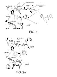 COMPOSITIONS, METHODS OF USE, AND METHODS OF TREATMENT