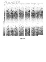 Method and apparatus for determining a probability of colorectal cancer in a subject