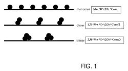 Method for determination of macromolecular multimers