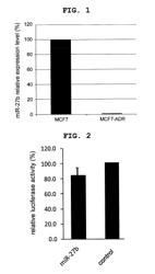 Therapeutic agent for tumor