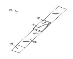 System and method for activating a device based on a record of physical activity