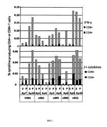 Plasmodium falciparum HLA class I restricted T-cell epitopes