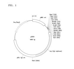 CORYNEBACTERIUM FOR PRODUCING C4 COMPOUNDS AND METHOD OF PRODUCING C4 CHEMICALS BY USING THE SAME