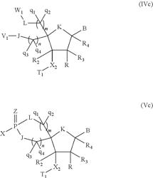 5′ phosphate mimics