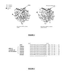 HPIV-2 variants and their medical applications