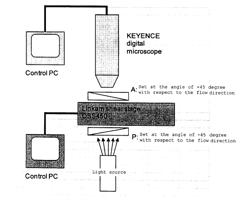 POLYPROPYLENE-BASED RESIN COMPOSITION AND FOAM SHEET