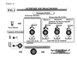 MONOCLONAL ANTIBODY FOR DETECTING EXOSOMES