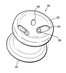 Seal anchor with non-parallel lumens