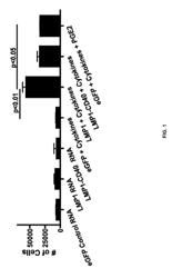 Compositions and methods for inducing migration by dendritic cells and an immune response