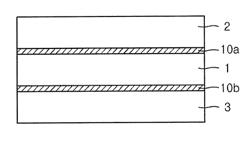 Polarizing plate and liquid crystal display including the same