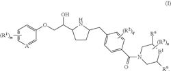 Pyrrolidine derived β3 adrenergic receptor agonists