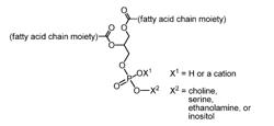 LIPID COMPOSITIONS WITH HIGH DHA CONTENT