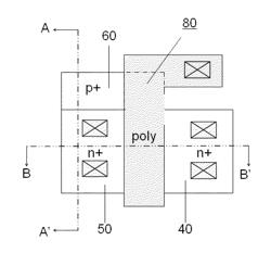 PD SOI device with a body contact structure