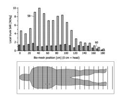 Real-time local and global SAR estimation for patient safety and improved scanning performance