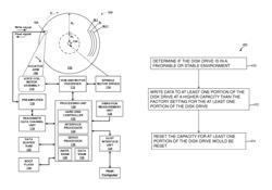 Dynamic variable capacity hard disk drive