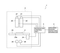 Method for detection of specimen region, apparatus for detection of specimen region, and program for detection of specimen region