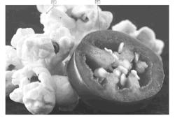 METHOD AND EDIBLE ARTICLE OF MANUFACTURE