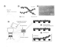 Organic polymers-separation membrane filter, and organic polymers-separation method