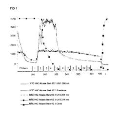 Obtaining cocoa extracts rich in bioactive peptides with ACE and PEP enzyme inhibitory activity